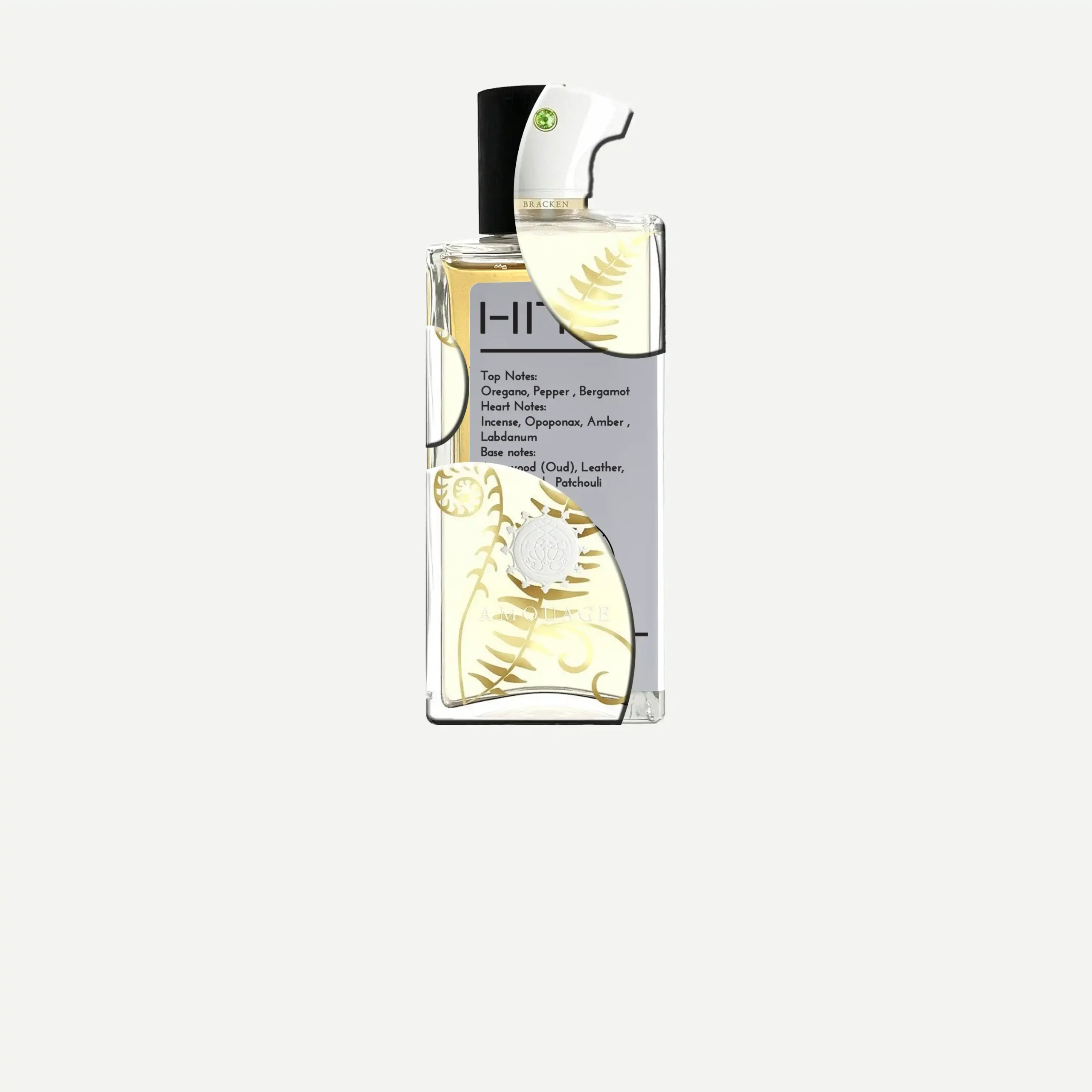 عطر ادکلن آمواج براکن مردانه | Amouage Bracken Man