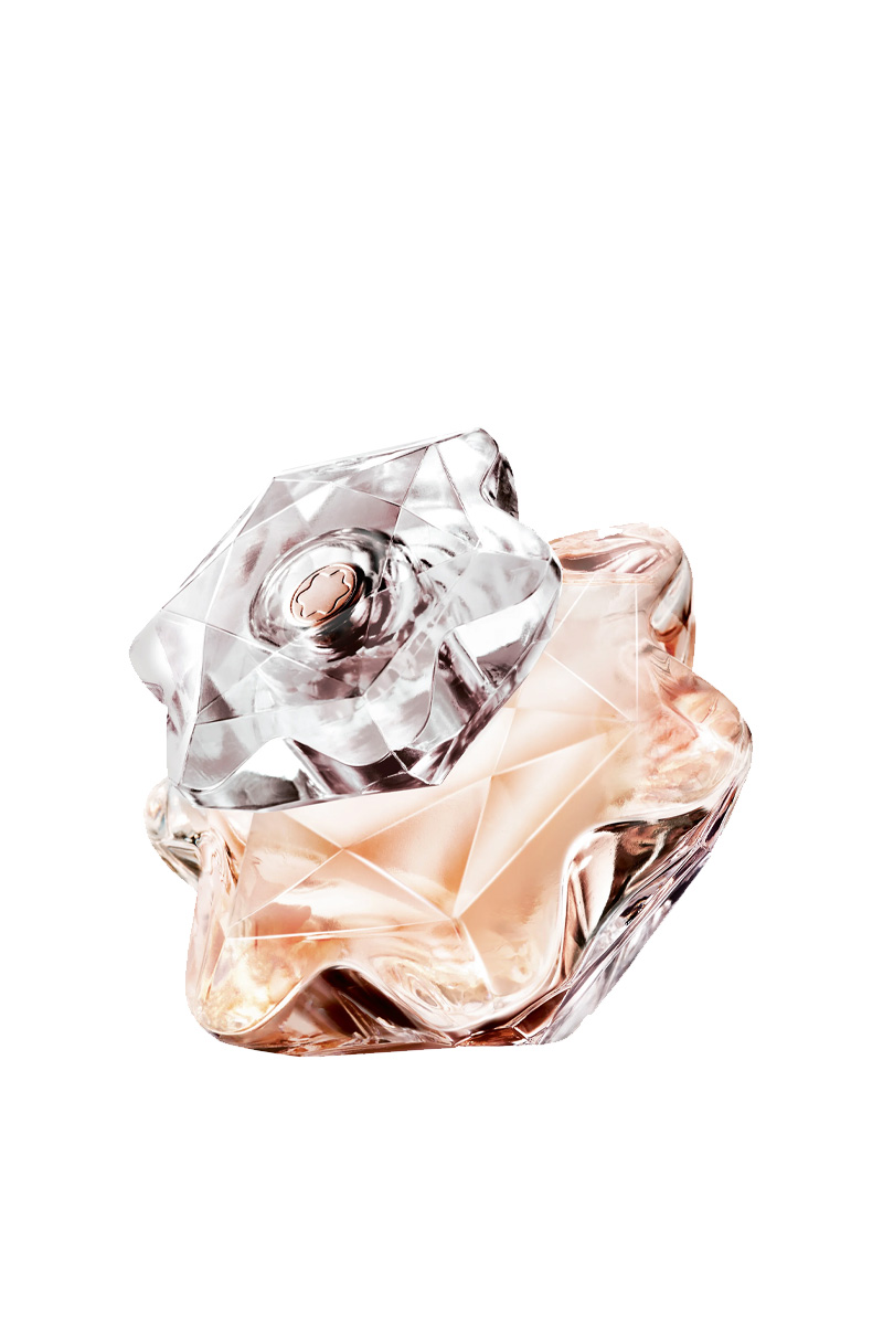 عطر ادکلن مونت بلنک لیدی امبلم | Mont Blanc Lady Emblem